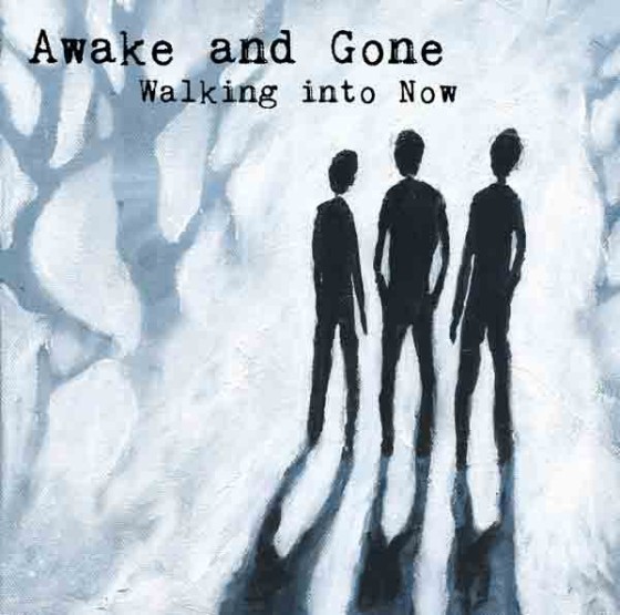 awake-and-gone-album-cover