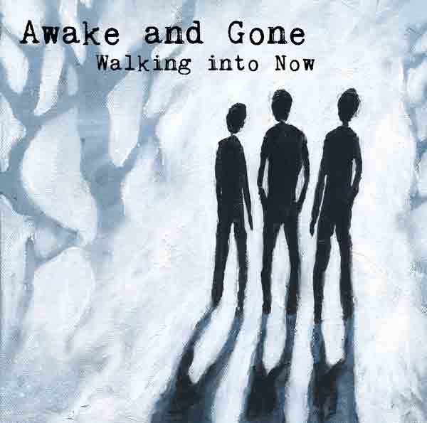 awake-and-gone-album-cover